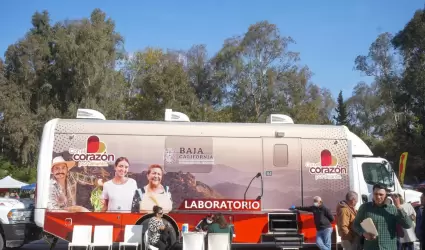 Feria de servicios