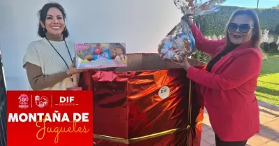 Monta�a de Juguetes