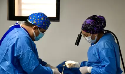 Jornadas gratuitas de Vasectom�as