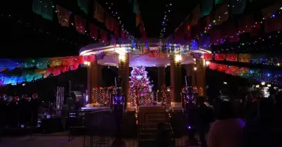 Tecate se llena de luz y alegr�a con el encendido del �rbol de Navidad