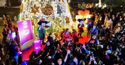 Encienden Claudia Agat�n �rbol y luces navide�as