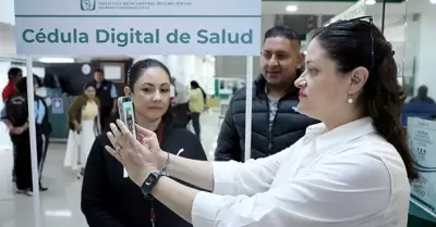 C�dula digital del IMSS