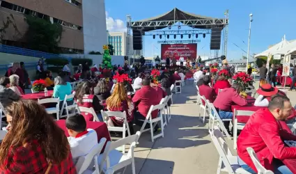 Campo navide�o 2024