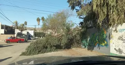 Sin incidentes mayores por condici�n Santa Ana