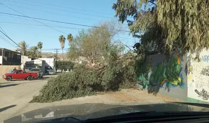 Sin incidentes mayores por condici�n Santa Ana