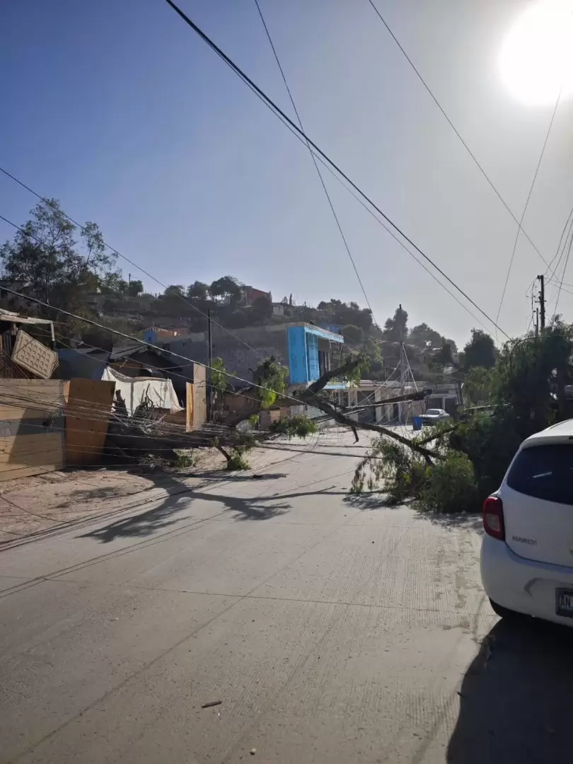 Restablecen suministro el�ctrico tras rachas de viento en Tijuana