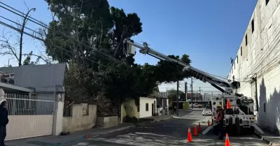 Restablecen suministro el�ctrico tras rachas de viento en Tijuana