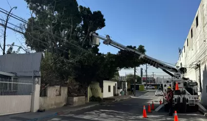Restablecen suministro el�ctrico tras rachas de viento en Tijuana