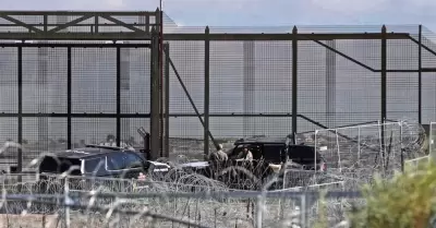 deportaci�n masiva