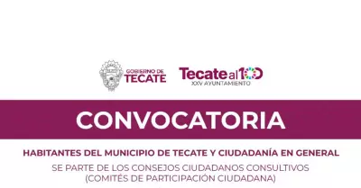 Convocatoria de integraci�n de los Consejos Ciudadanos Consultivos