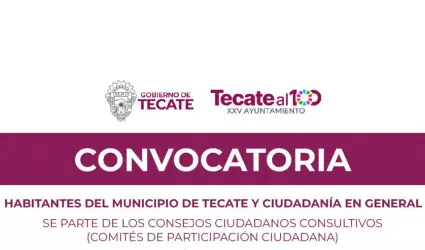 Convocatoria de integraci�n de los Consejos Ciudadanos Consultivos