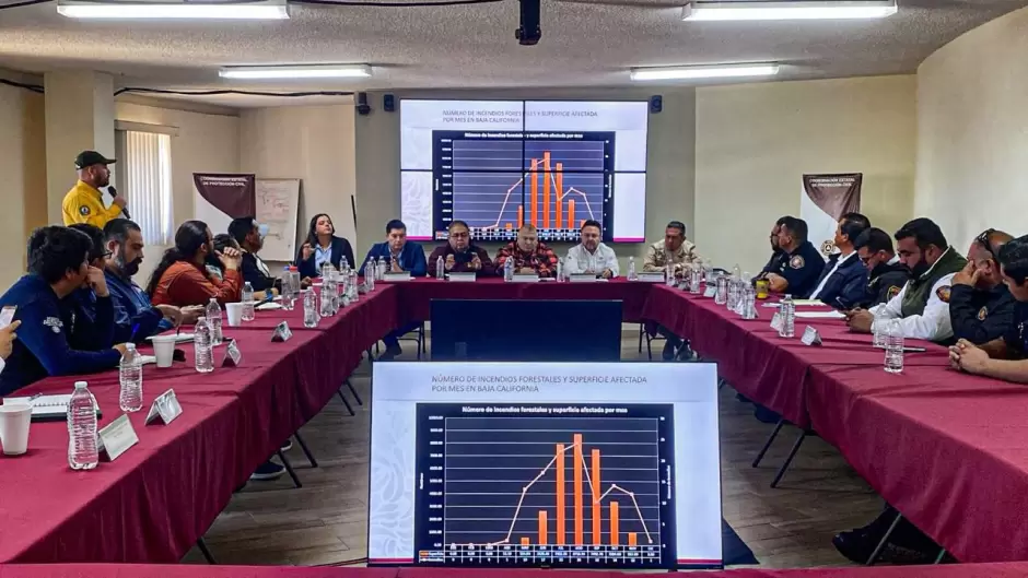 Comit� Estatal de Manejo del Fuego