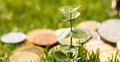 Econom�a Circular