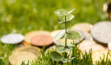 Econom�a Circular