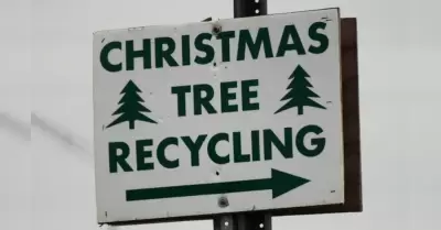 Reciclaje de �rboles de navidad
