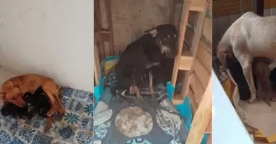 Refugio Dejando Huellas en tu Coraz�n