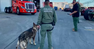 Unidad Canina K9 acredita certificaci�n anual en detecci�n de narc�ticos