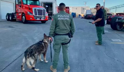 Unidad Canina K9 acredita certificaci�n anual en detecci�n de narc�ticos
