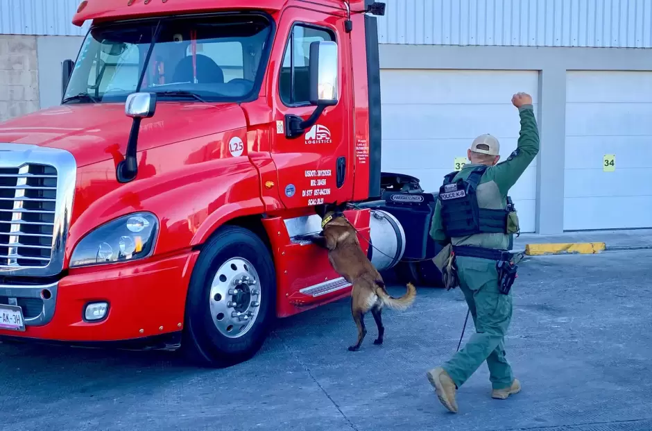 Unidad Canina K9 acredita certificaci�n anual en detecci�n de narc�ticos