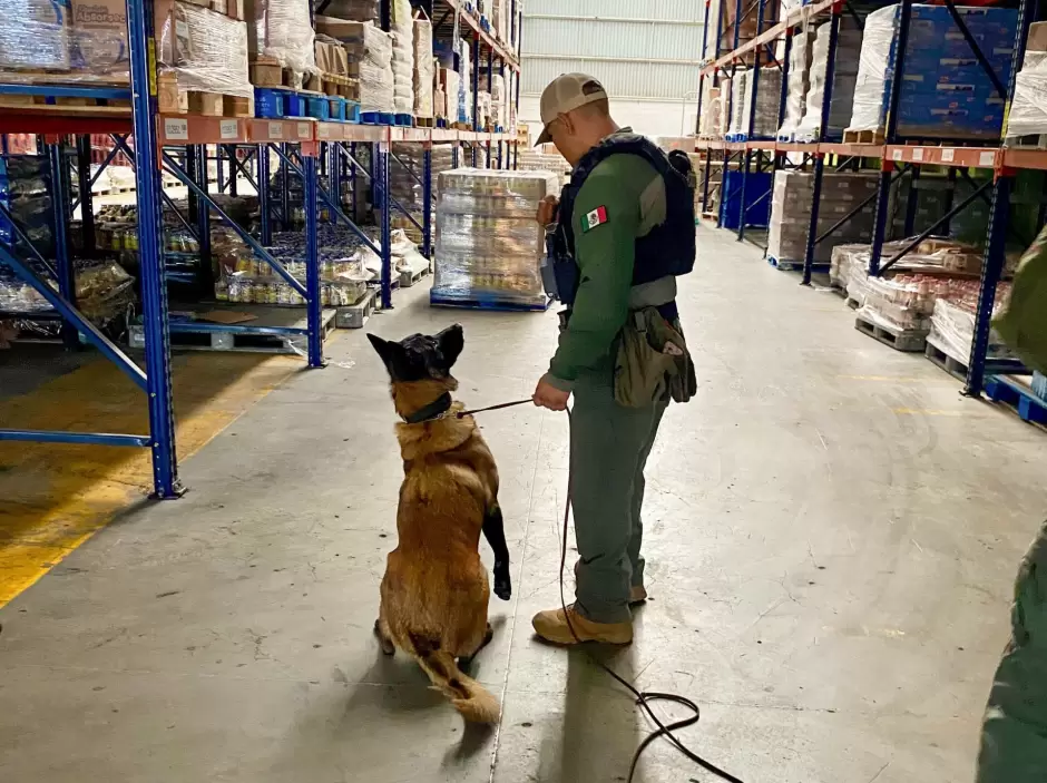 Unidad Canina K9 acredita certificaci�n anual en detecci�n de narc�ticos