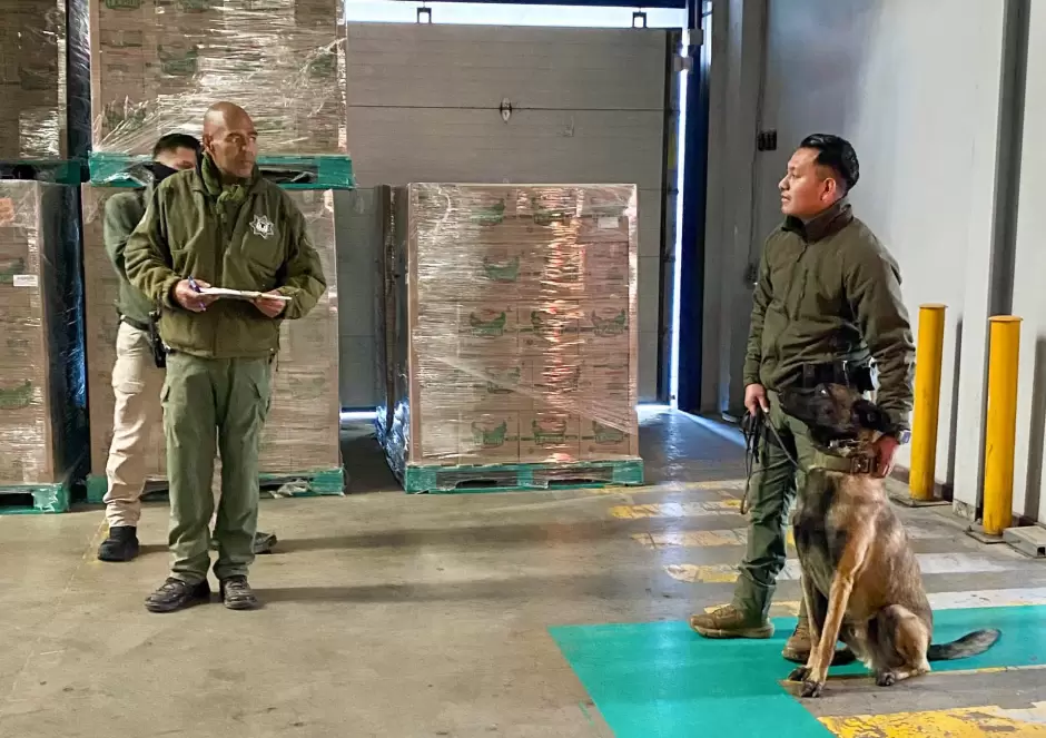 Unidad Canina K9 acredita certificaci�n anual en detecci�n de narc�ticos
