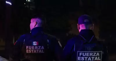 A&E proyectar� trabajo operativo de la Fuerza Estatal a trav�s de serie document