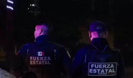 A&E proyectar� trabajo operativo de la Fuerza Estatal a trav�s de serie document