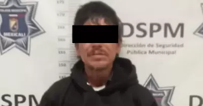 Detienen a sujeto por robo a veh�culo y da�os