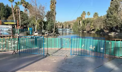 Confirman dos casos de influenza aviar en el Parque Morelos