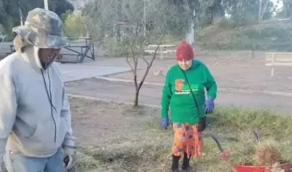Ciudadan�a Activa