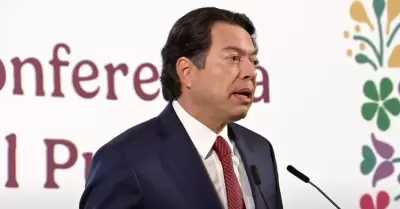 Mario Delgado, secretario de Educaci�n