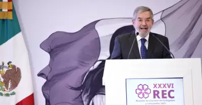 Juan Ram�n de la Fuente, titular de Relaciones Exteriores