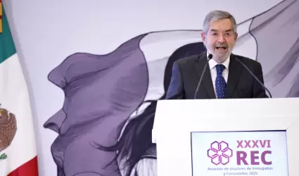 Juan Ram�n de la Fuente, titular de Relaciones Exteriores
