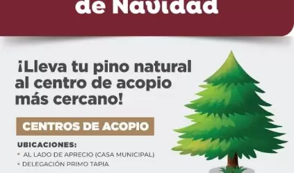 Habilitan centros de acopio para arbolitos navide�os