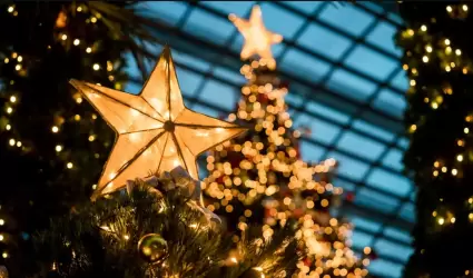 �rbol de Navidad