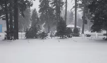 Nevadas