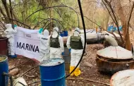 Inhabilitan laboratorios clandestinos en Michoac�n y Nayarit