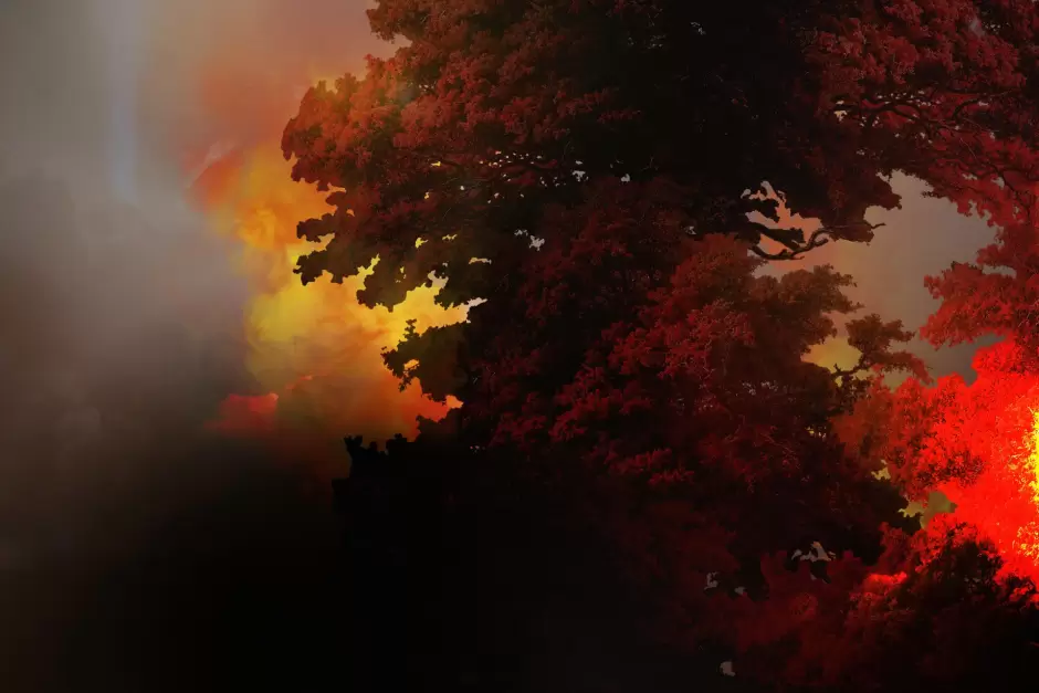 Ilustraci�n de incendios forestales en California