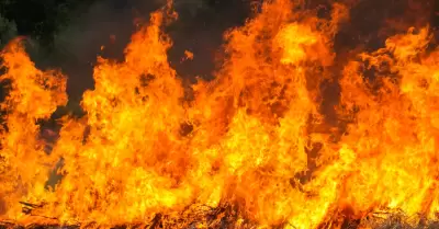 Ilustraci�n de incendios forestales