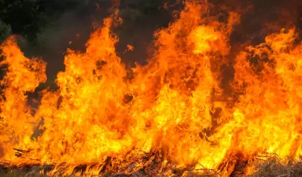 Ilustraci�n de incendios forestales