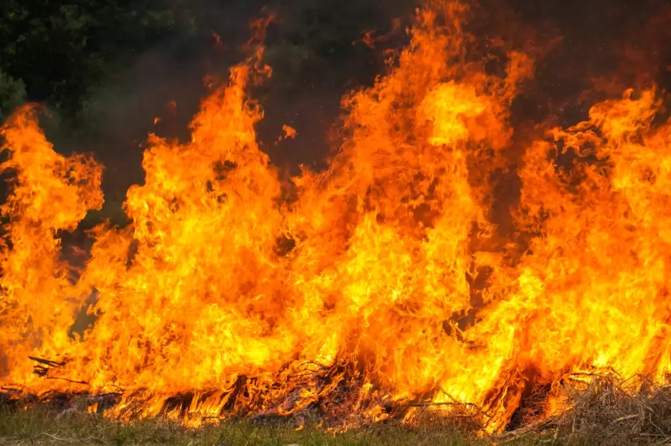 Ilustraci�n de incendios forestales