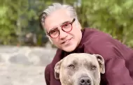 Alejandro Fern�ndez hace donativo a personas afectadas por los incendios en California
