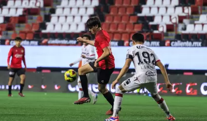 Xolos