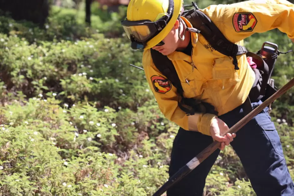 California fortalece su respuesta a incendios forestales y la gesti�n de bosques ante el cambio clim�tico