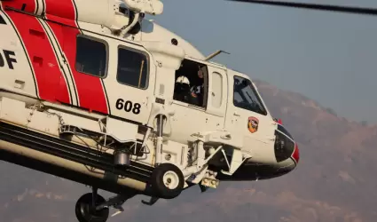 California fortalece su respuesta a incendios forestales y la gesti�n de bosques
