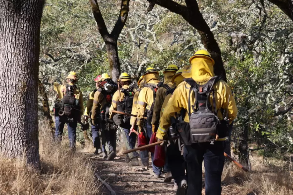 California fortalece su respuesta a incendios forestales y la gesti�n de bosques ante el cambio clim�tico