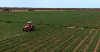 Productores agr�colas