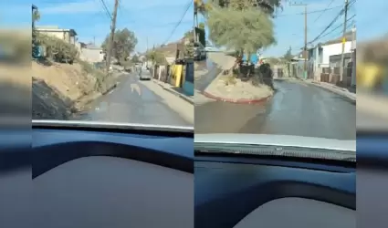 Reportan fuga de aguas negras de m�s de una d�cada en colonia de Tijuana
