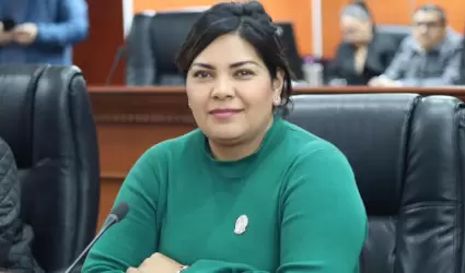 Diputada Montse Murillo