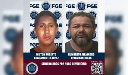 Sentencias por delitos de robo de veh�culo
